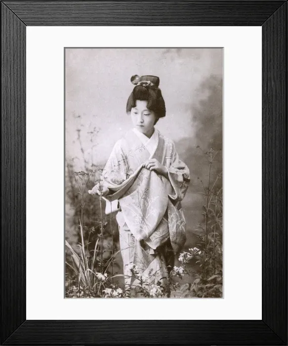 Framed Print : Japanese Geisha examining some plants Framed Print : Japanese Geisha examining some plants