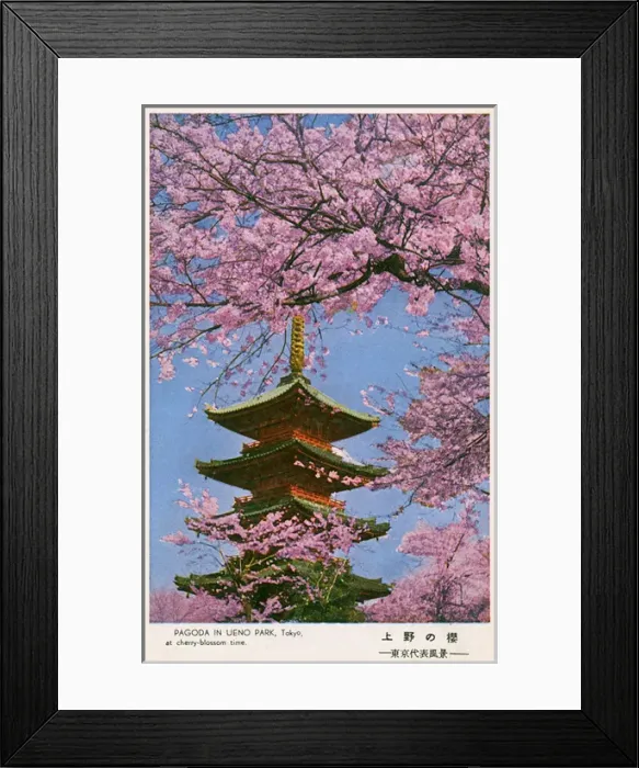 Framed Print : Pagoda in Ueno Park - Tokyo, Japan Framed Print : Pagoda in Ueno Park - Tokyo, Japan