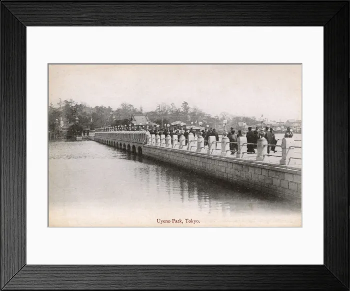 Framed Print : Shinobazu Pond, Ueno Park, Kangetsukyo Bridge - Tokyo, Japan Framed Print : Shinobazu Pond, Ueno Park, Kangetsukyo Bridge - Tokyo, Japan