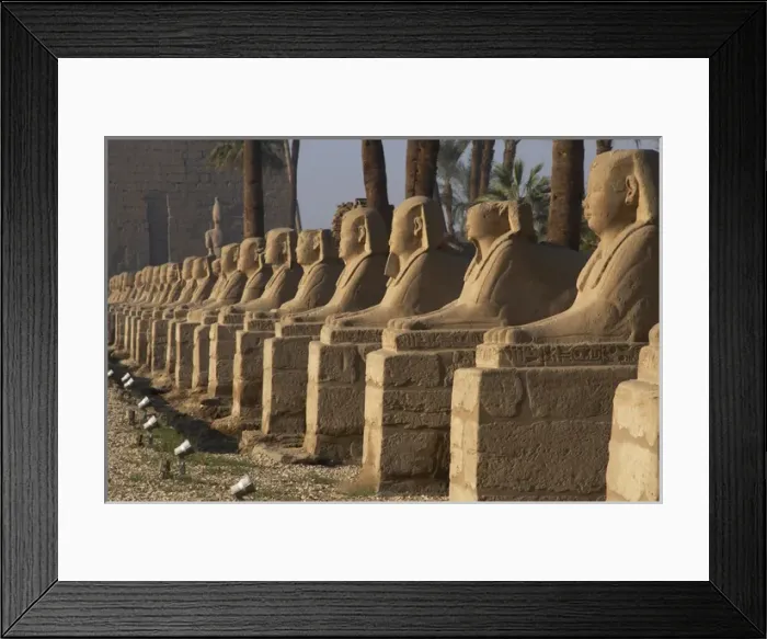 Framed Print : EGYPT. TEMPLE OF LUXOR. Avenue of the Sphinxes Framed Print : EGYPT. TEMPLE OF LUXOR. Avenue of the Sphinxes