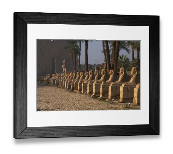 Framed Print : EGYPT. TEMPLE OF LUXOR. Avenue of the Sphinxes Framed Print : EGYPT. TEMPLE OF LUXOR. Avenue of the Sphinxes