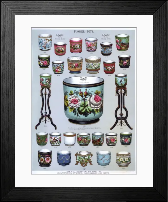 Framed Print : Flower Pots, Plate 64 Framed Print : Flower Pots, Plate 64