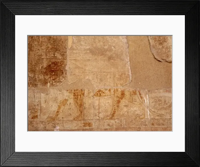 Framed Print : EGYPTIAN ART. Relief depicting a lion Framed Print : EGYPTIAN ART. Relief depicting a lion