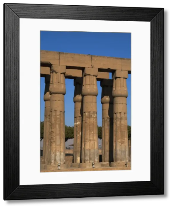 Framed Print : EGYPT. Luxor temple Framed Print : EGYPT. Luxor temple