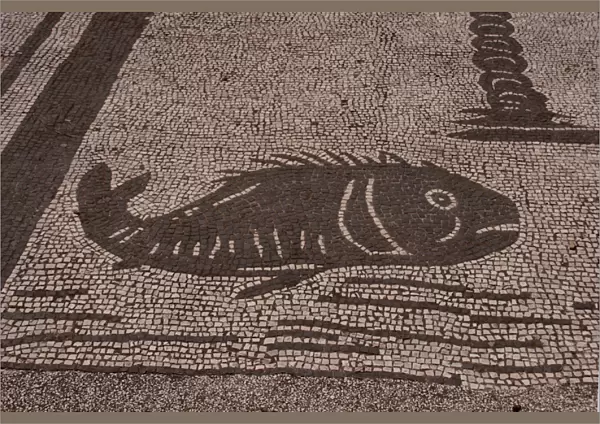 Roman mosaic. Fish. Ostia Antica. Italy