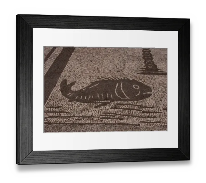 Framed Print : Roman mosaic. Fish. Ostia Antica. Italy Framed Print : Roman mosaic. Fish. Ostia Antica. Italy
