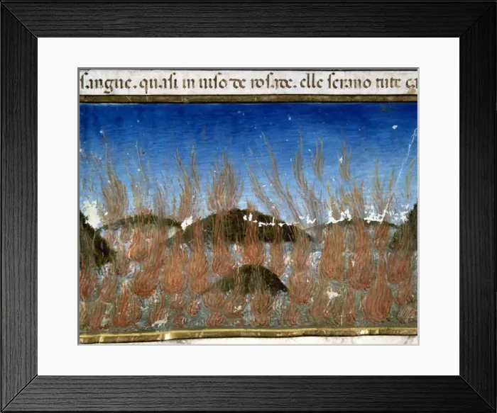 Framed Print : The end of the world and the Last Judgement. The sea will bu Framed Print : The end of the world and the Last Judgement. The sea will bu