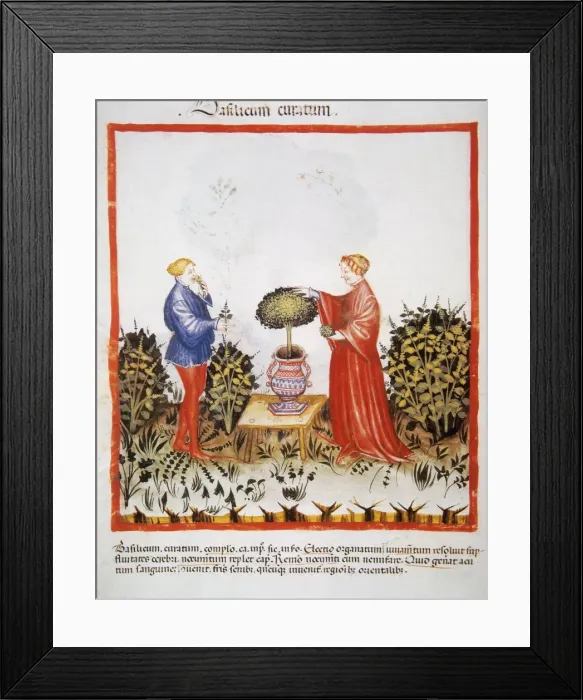 Framed Print : Tacuinum Sanitatis. Late 14th century. Marriage picking a va Framed Print : Tacuinum Sanitatis. Late 14th century. Marriage picking a va