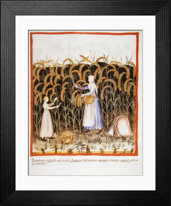 Framed Print : Tacuinum Sanitatis. Late 14th century. Peasant with her daug Framed Print : Tacuinum Sanitatis. Late 14th century. Peasant with her daug