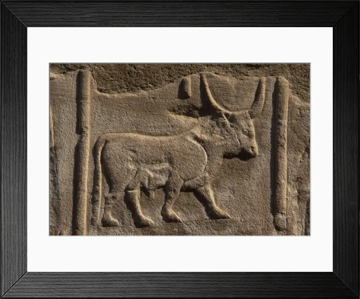 Framed Print : Egyptian hieroglyph shaped like a bull Framed Print : Egyptian hieroglyph shaped like a bull
