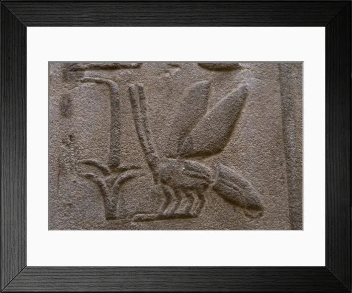 Framed Print : Hieroglyphic writing Framed Print : Hieroglyphic writing