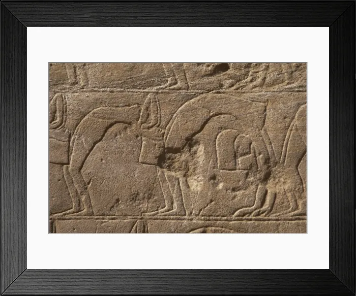 Framed Print : Relief depicting a group of dancers Framed Print : Relief depicting a group of dancers
