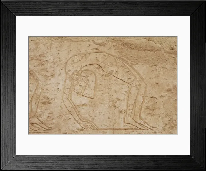 Framed Print : Relief depicting a contortionists dancer. Temple of Hatsheps Framed Print : Relief depicting a contortionists dancer. Temple of Hatsheps