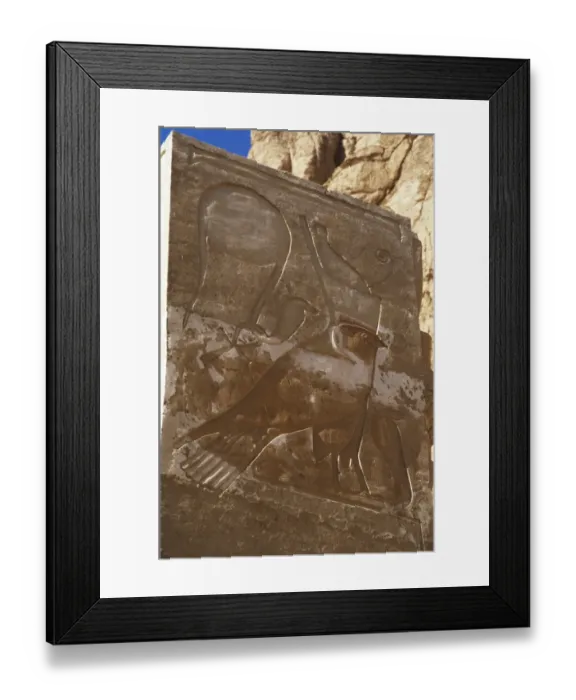 Framed Print : Relief with an inscription in hieroglyphics. Deir el-Bahari Framed Print : Relief with an inscription in hieroglyphics. Deir el-Bahari