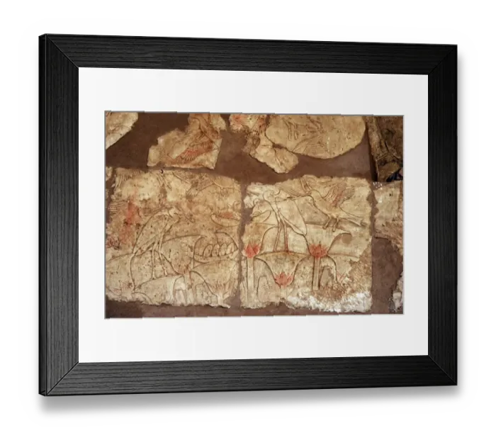 Framed Print : Reliefs depicting the flora and fauna along the Nile River Framed Print : Reliefs depicting the flora and fauna along the Nile River