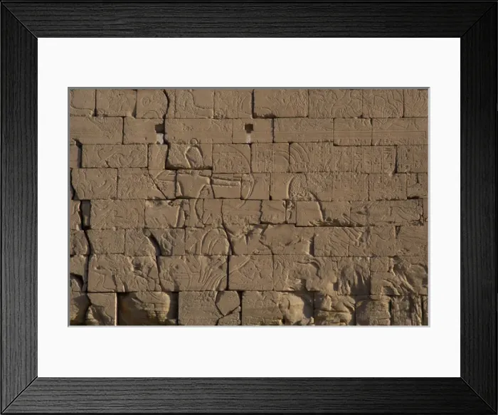 Framed Print : Ramesseum. Pharaoh in a chariot during a battle. Relief. Egy Framed Print : Ramesseum. Pharaoh in a chariot during a battle. Relief. Egy