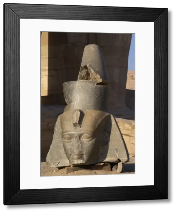 Framed Print : Ramesseum. Granite bust of Pharaoh Ramses II. Egypt Framed Print : Ramesseum. Granite bust of Pharaoh Ramses II. Egypt