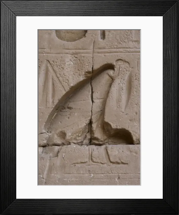 Framed Print : Temple of Ramses III. Vulture Framed Print : Temple of Ramses III. Vulture