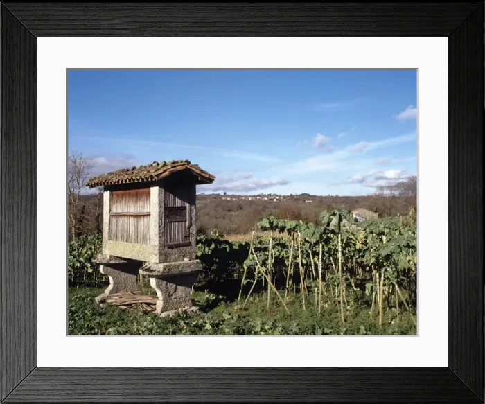 Framed Print : Spain. Galicia. Santa Eufemia. Galician horreo in an orchard Framed Print : Spain. Galicia. Santa Eufemia. Galician horreo in an orchard
