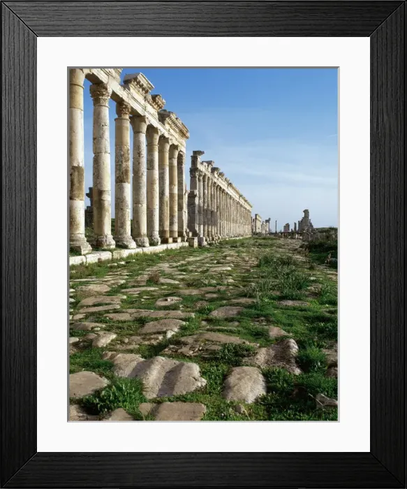 Framed Print : Apamea. Cardo Maximus. Syria Framed Print : Apamea. Cardo Maximus. Syria