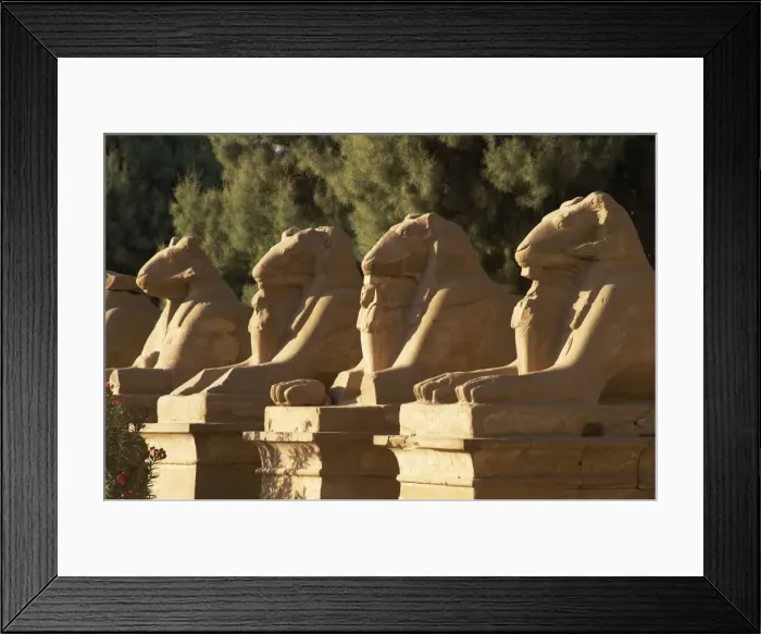 Framed Print : Karnak Temple. Avenue of sphinxes with rams head (symbol of Framed Print : Karnak Temple. Avenue of sphinxes with rams head (symbol of