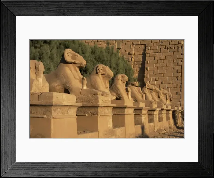 Framed Print : Karnak Temple. Avenue of sphinxes with rams head (symbol of Framed Print : Karnak Temple. Avenue of sphinxes with rams head (symbol of