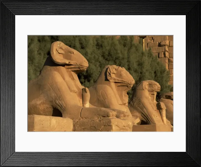 Framed Print : Karnak Temple. Avenue of sphinxes with rams head (symbol of Framed Print : Karnak Temple. Avenue of sphinxes with rams head (symbol of