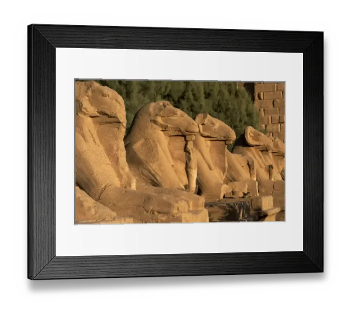 Framed Print : Karnak Temple. Avenue of sphinxes with rams head (symbol of Framed Print : Karnak Temple. Avenue of sphinxes with rams head (symbol of