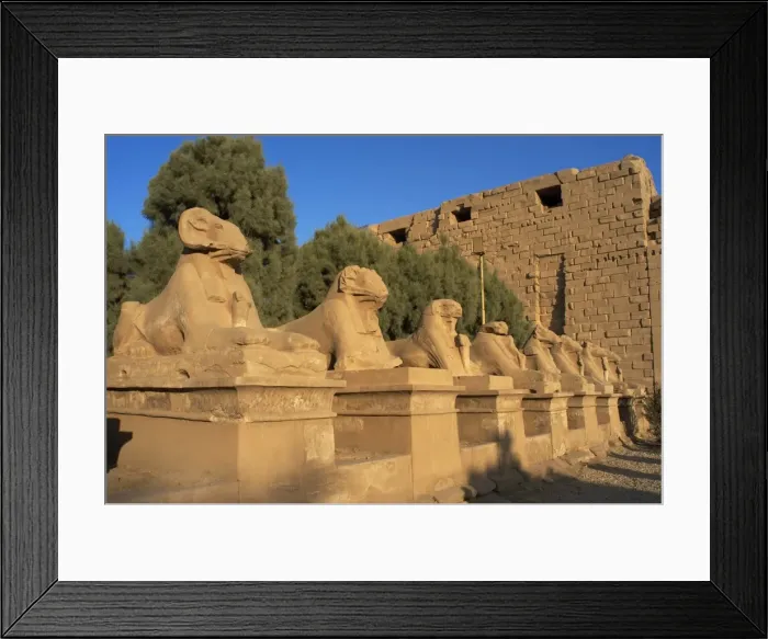 Framed Print : Karnak Temple. Avenue of sphinxes with rams head (symbol of Framed Print : Karnak Temple. Avenue of sphinxes with rams head (symbol of