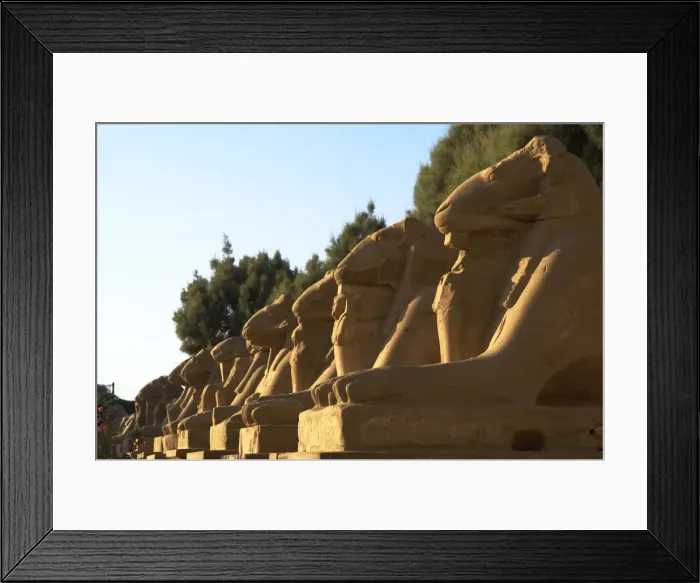 Framed Print : Karnak Temple. Avenue of sphinxes with rams head (symbol of Framed Print : Karnak Temple. Avenue of sphinxes with rams head (symbol of