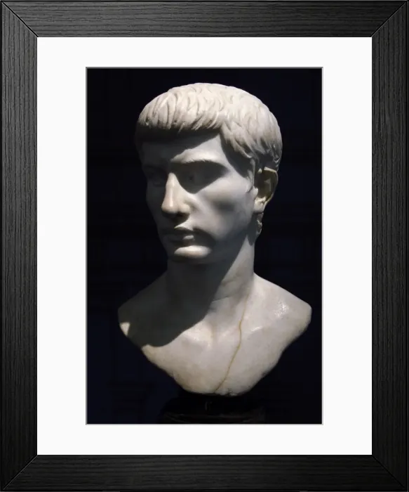 Framed Print : Marcello. Bust. Marble. 1st century B. C Framed Print : Marcello. Bust. Marble. 1st century B. C