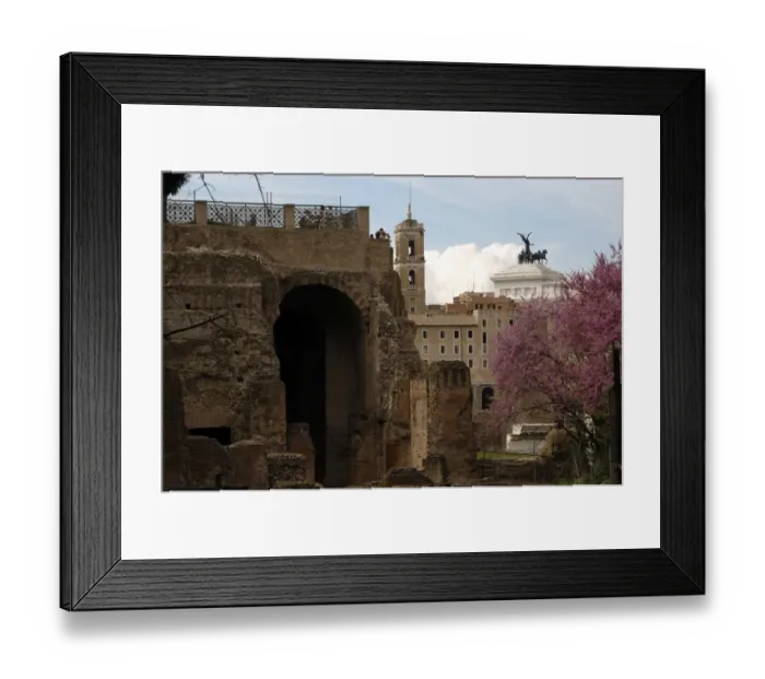 Framed Print : Ruins of some buildings on the Palatine Hill. Rome. Italy