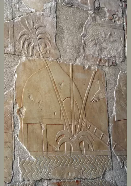The Land of Punt. Temple of Hatshepsut. Deir el-Bahari. Eg