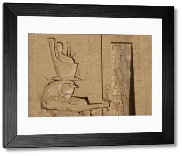 Framed Print : Horus. Edfu. Egypt Framed Print : Horus. Edfu. Egypt