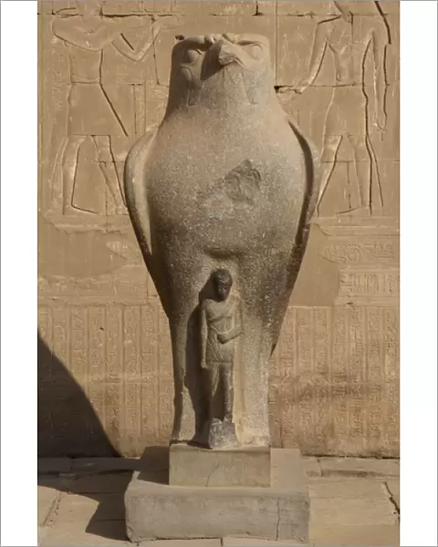 Horus. Egypt
