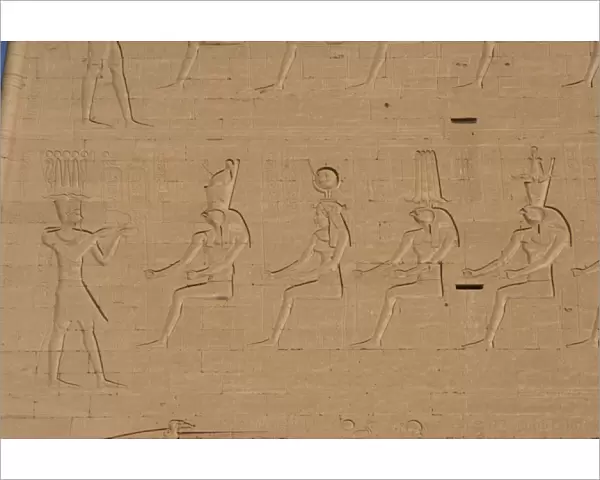 Pharaoh before gods. Edfu. Egypt