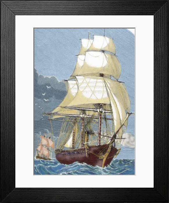 Framed Print : Clipper. 19th century. Colored engraving Framed Print : Clipper. 19th century. Colored engraving