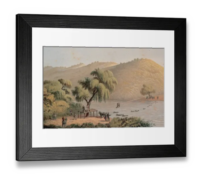 Framed Print : Mexico. Cattle crossing the San Marcos River Framed Print : Mexico. Cattle crossing the San Marcos River