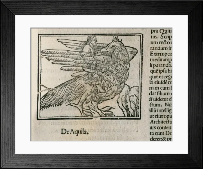 Framed Print : Eagle. Epigrams by Martial Framed Print : Eagle. Epigrams by Martial