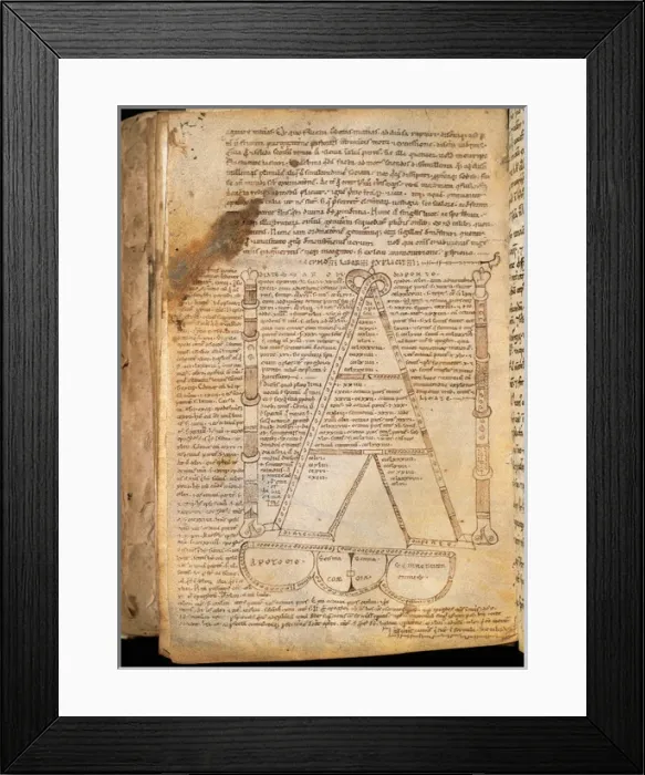 Framed Print : Miscellaneous and Factitious Codex Framed Print : Miscellaneous and Factitious Codex