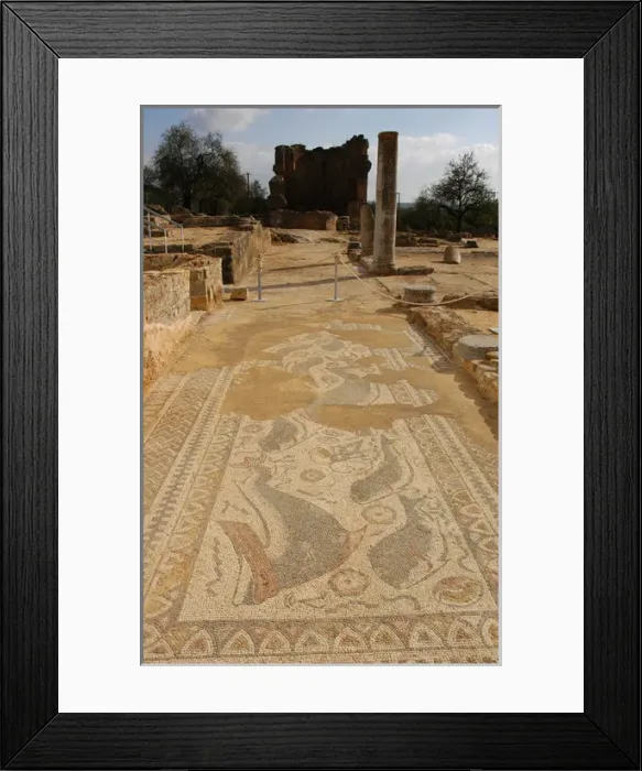 Framed Print : Milreu ruins. Roman Villa (1st - 4th century A. D. ). Estoi. A Framed Print : Milreu ruins. Roman Villa (1st - 4th century A. D. ). Estoi. A