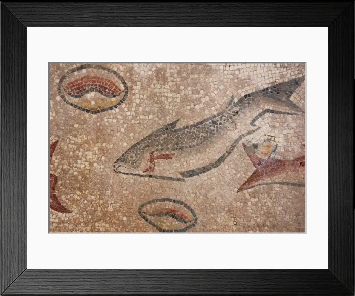 Framed Print : Milreu ruins. Roman Villa (1st - 4th century A. D. ). Estoi. A Framed Print : Milreu ruins. Roman Villa (1st - 4th century A. D. ). Estoi. A