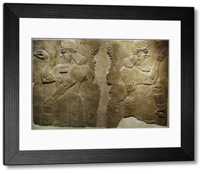 Framed Print : Mesopotamian art. Neo-Assyrian. Relief panels depicting two Framed Print : Mesopotamian art. Neo-Assyrian. Relief panels depicting two