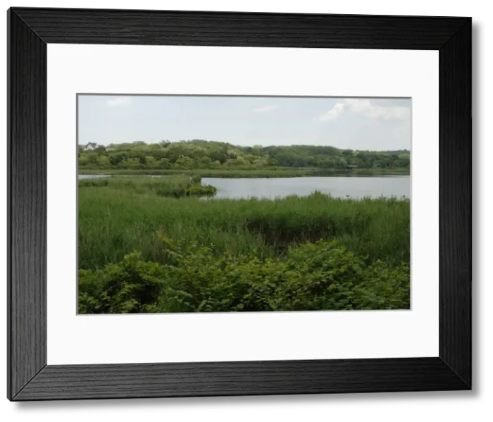 Framed Print : Plimoth Plantation or Historical Museum. Eel river estuary Framed Print : Plimoth Plantation or Historical Museum. Eel river estuary
