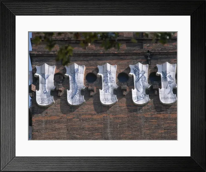 Framed Print : Natural History Museum. Three Dragons Castle. Barcelona. Spa Framed Print : Natural History Museum. Three Dragons Castle. Barcelona. Spa