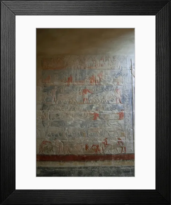 Framed Print : Mastaba of Mereruka. Saqqara. Egypt Framed Print : Mastaba of Mereruka. Saqqara. Egypt