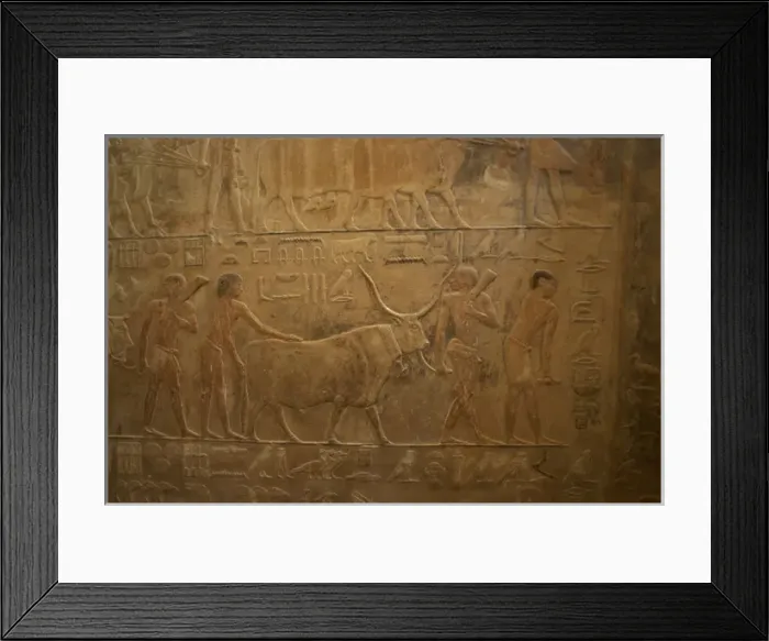 Framed Print : Mastaba of Ptahhotep and Akhethotep. Egypt Framed Print : Mastaba of Ptahhotep and Akhethotep. Egypt