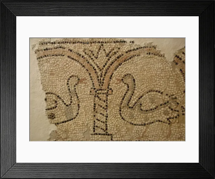Framed Print : Early Christian art. Mosaico depicting two swans. Corfu. Gre Framed Print : Early Christian art. Mosaico depicting two swans. Corfu. Gre
