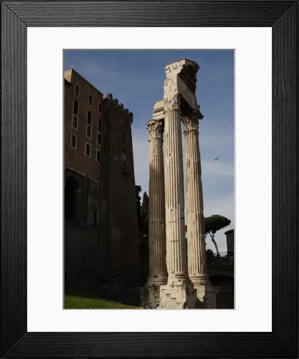 Framed Print : Temple of Concord. Roman Forum. Rome. Italy Framed Print : Temple of Concord. Roman Forum. Rome. Italy