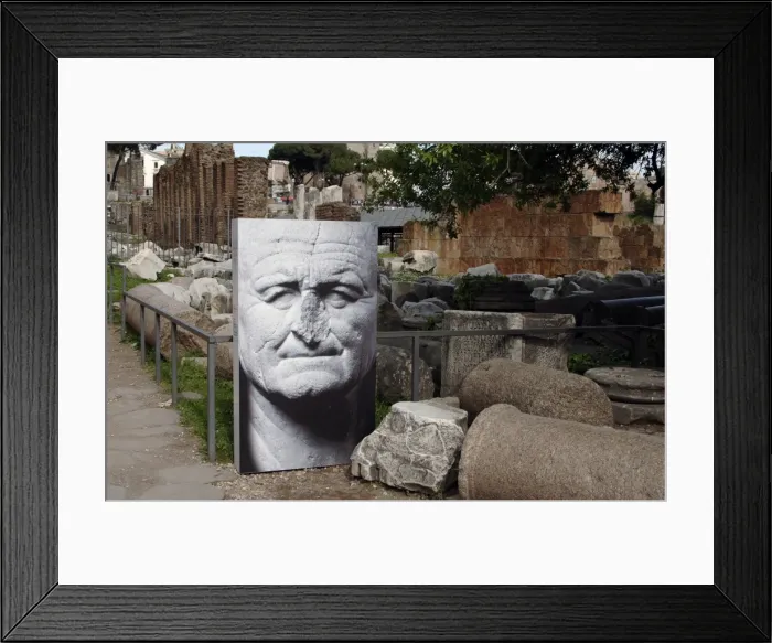 Framed Print : Vespasian. Temporary exhibition. Forum. Rome. Italy Framed Print : Vespasian. Temporary exhibition. Forum. Rome. Italy